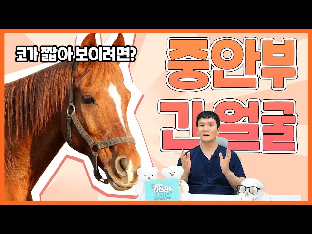 더하다성형외과 :: 구축코 재건술, 고난이도 코재수술_더하다 TV_더하다 코성형 더하다성형외과 :: 구축코 재건술, 고난이도 코재수술_더하다 Tv_더하다 코성형
