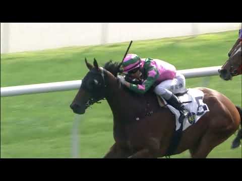 18/12/2021 (262) August Moon - Jerry Chau