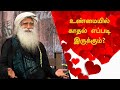 Signs Of True Love | What is the sign of true love? | Valentine's Day | Sadhguru Tamil
