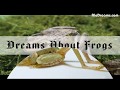 12 What Does It Mean When You Dream Of A Frog