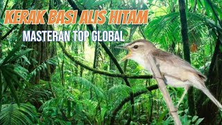 Download lagu Masteran burung kerak basi alis hitam suara jernih terbaik mp3 Download lagu Masteran burung kerak basi alis hitam suara jernih terbaik mp3