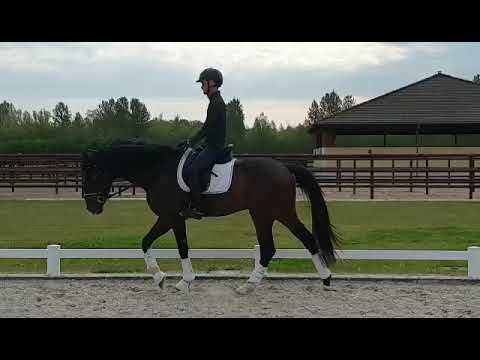 Sacramento D'oro by Secret (Sezuan)