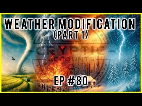 Storm Control: Cloud Seeding, Hurricane Engineering, and Climate Experiments