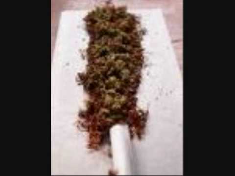 Smoke Weed   orgi feat. serk