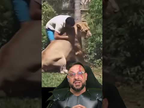 A leoa e o Vaqueirinho, a cena que todos gostaríamos que tivesse sido