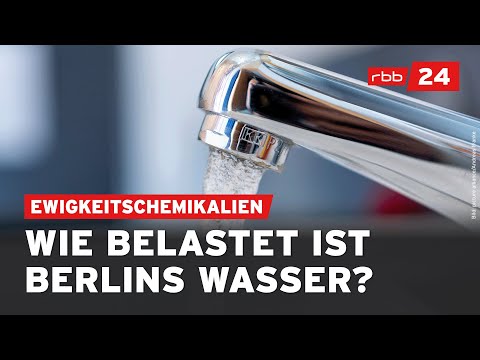 Ewigkeitschemikalien in Berlins Grund- und Trinkwasser nachgewiesen