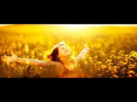 Praise Cats ft. Andrea Love -Shined on me