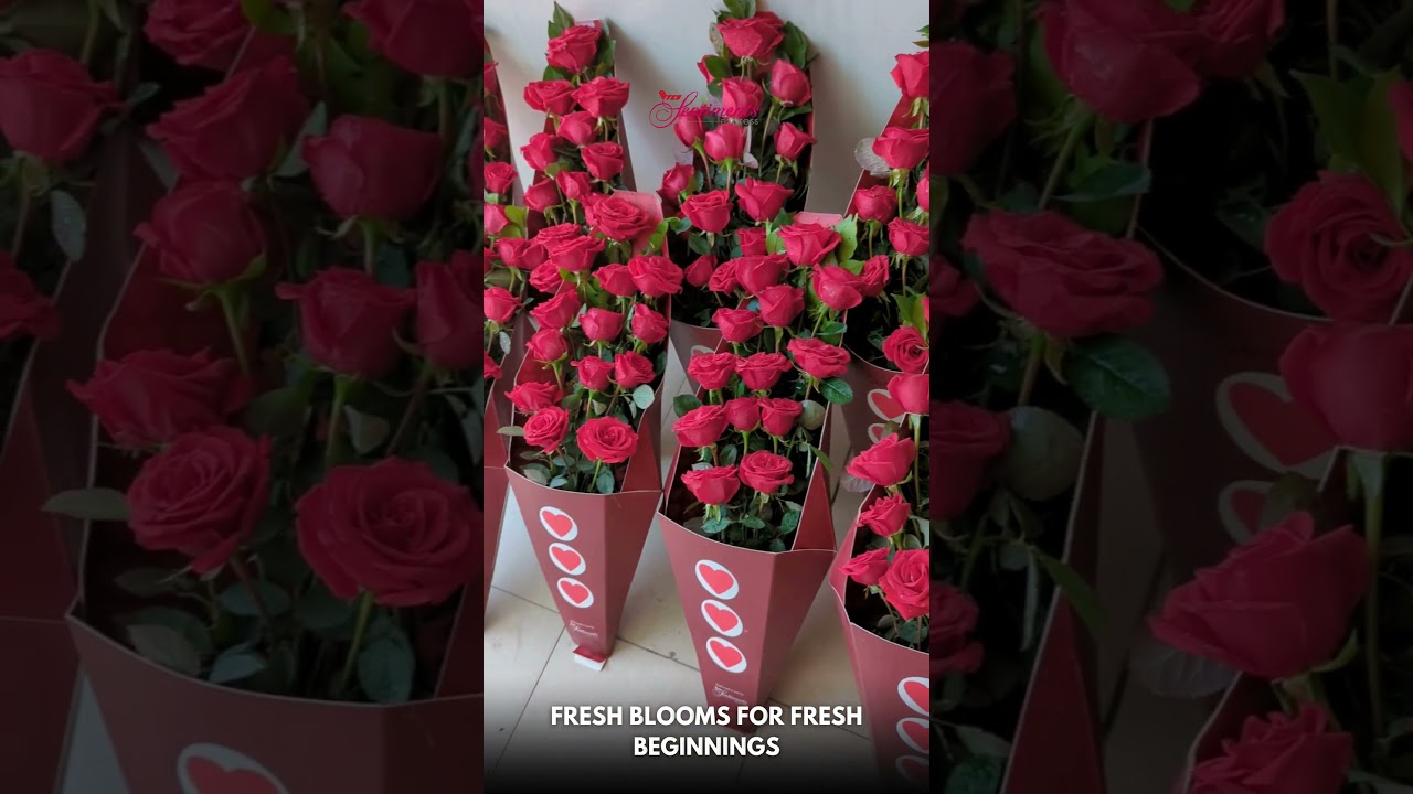 New Year, New Memories: Gift Joy with TCS Sentiments Express! #tcssentimentsexpress #heartfeltgifts