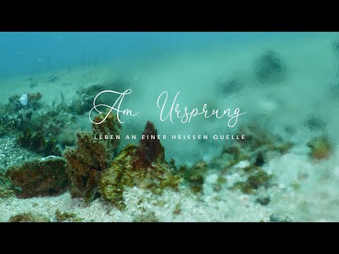 Am Ursprung - Leben an einer heißen Quelle
