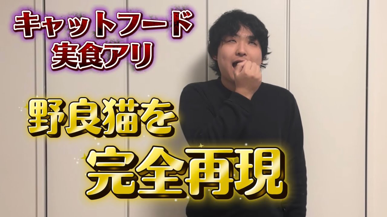 野良猫を完全再現