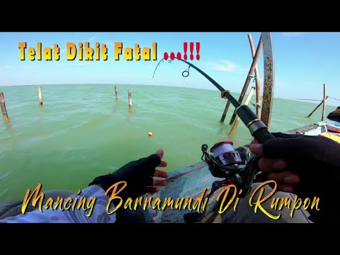 TERLAMBAT SEDIKIT FATAL...‼️‼️ Mancing Kakap Putih Di Rumpon Laut