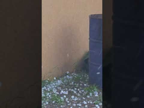 Targu Jiu Preajba Mare Grindina