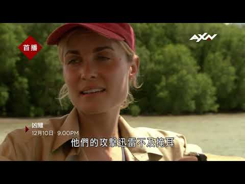 AXN《凶鱷》ROGUE 12/10(六) 晚間 9 點 播出