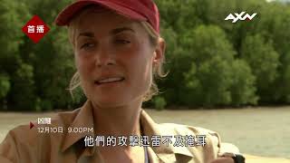 AXN《凶鱷》ROGUE 12/10(六) 晚間 9 點 播出