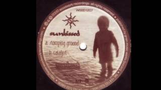 Sunkissed - Catalyst
