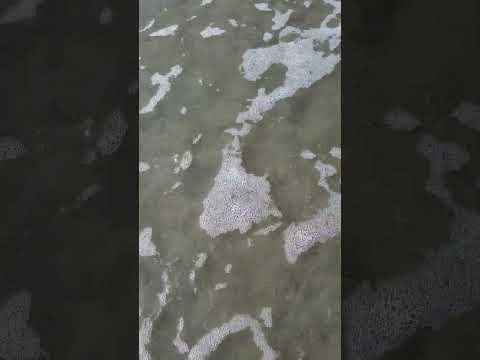 কাঁকড়া বিচ কক্সবাজার#shortvideo #coxsbazar #happy #travel