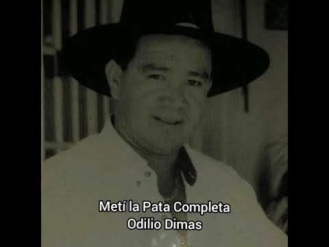 Metí La Pata Completa - Odilio Dimas