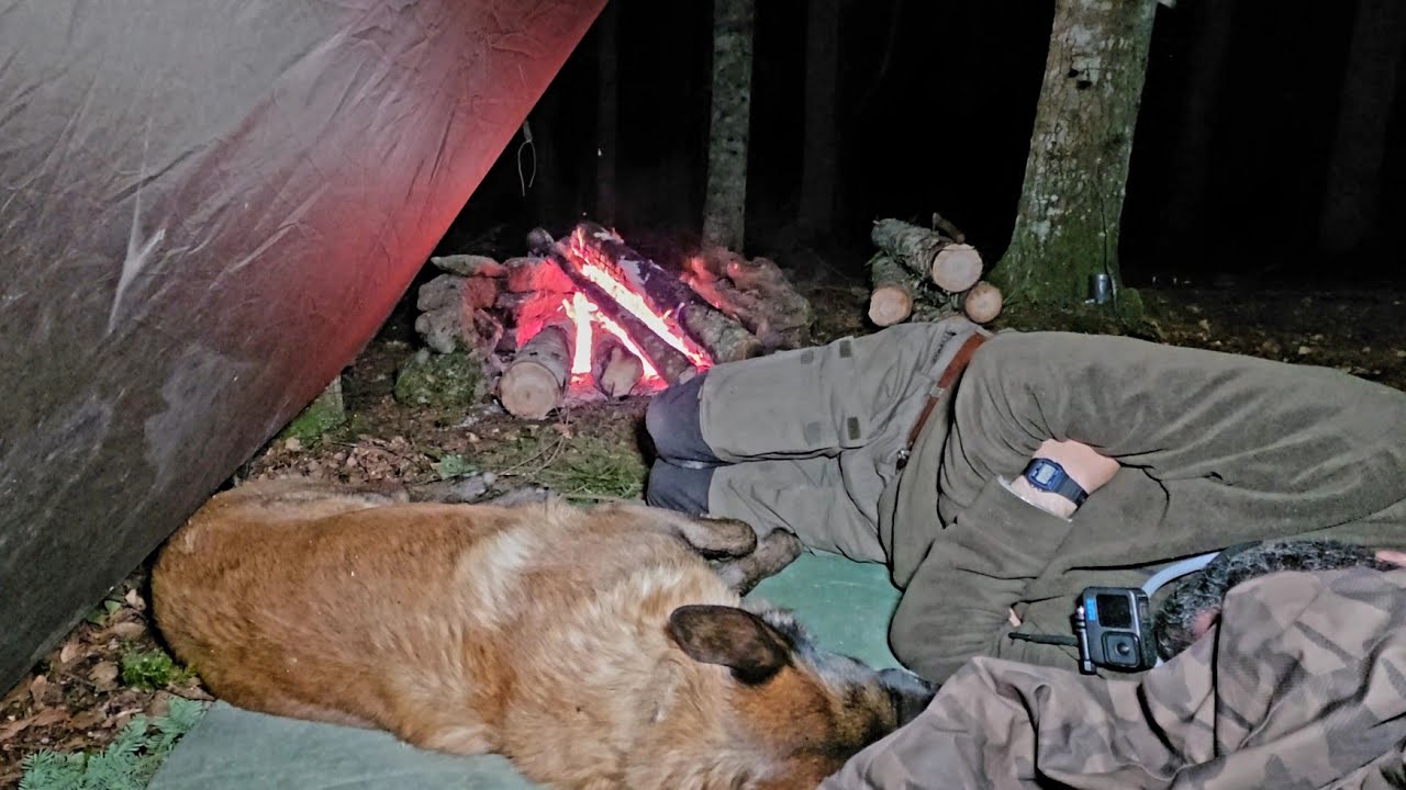 Something Came Into Our Camp at Night…