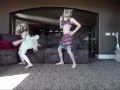 Harlem Shake Tinkerbell And Gypsy Squirrel