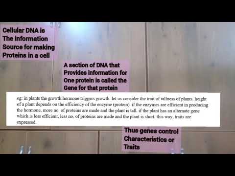 Bio10   Chapter 09   Heredity and Evolution   Video 04   Pages 145 146