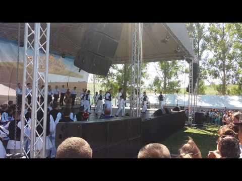 Fiii satului, comuna Pauca 2016 (3)