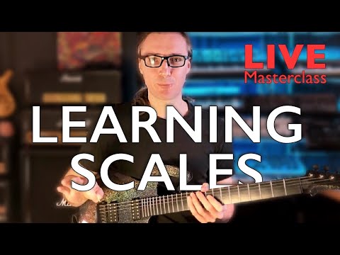GUITAR SCALES - How and What to Learn. Live Masterclass #1