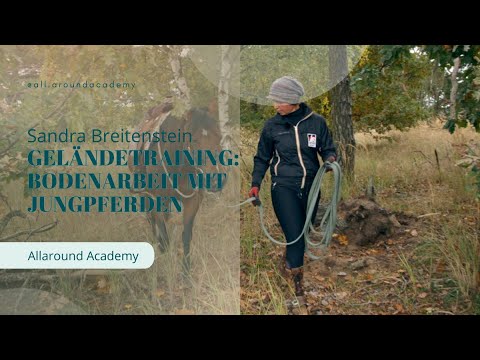 Geländetraining: Bodenarbeit mit Jungpferden