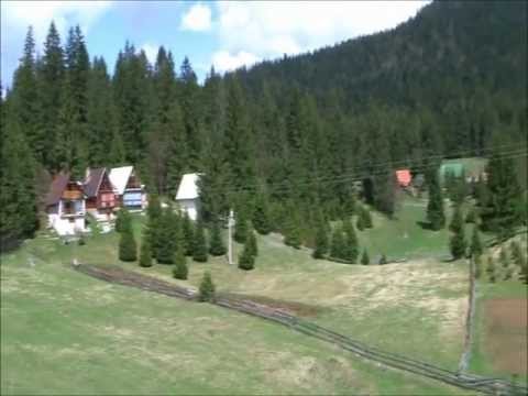 Stipo Lovrenovic Cipe - Pod Vlasicom Majka me rodila