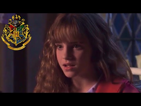 Harry Potter: “Ron & Harry Visit Hermione With Tom’s Diary” (Deleted / Extended Scenes)