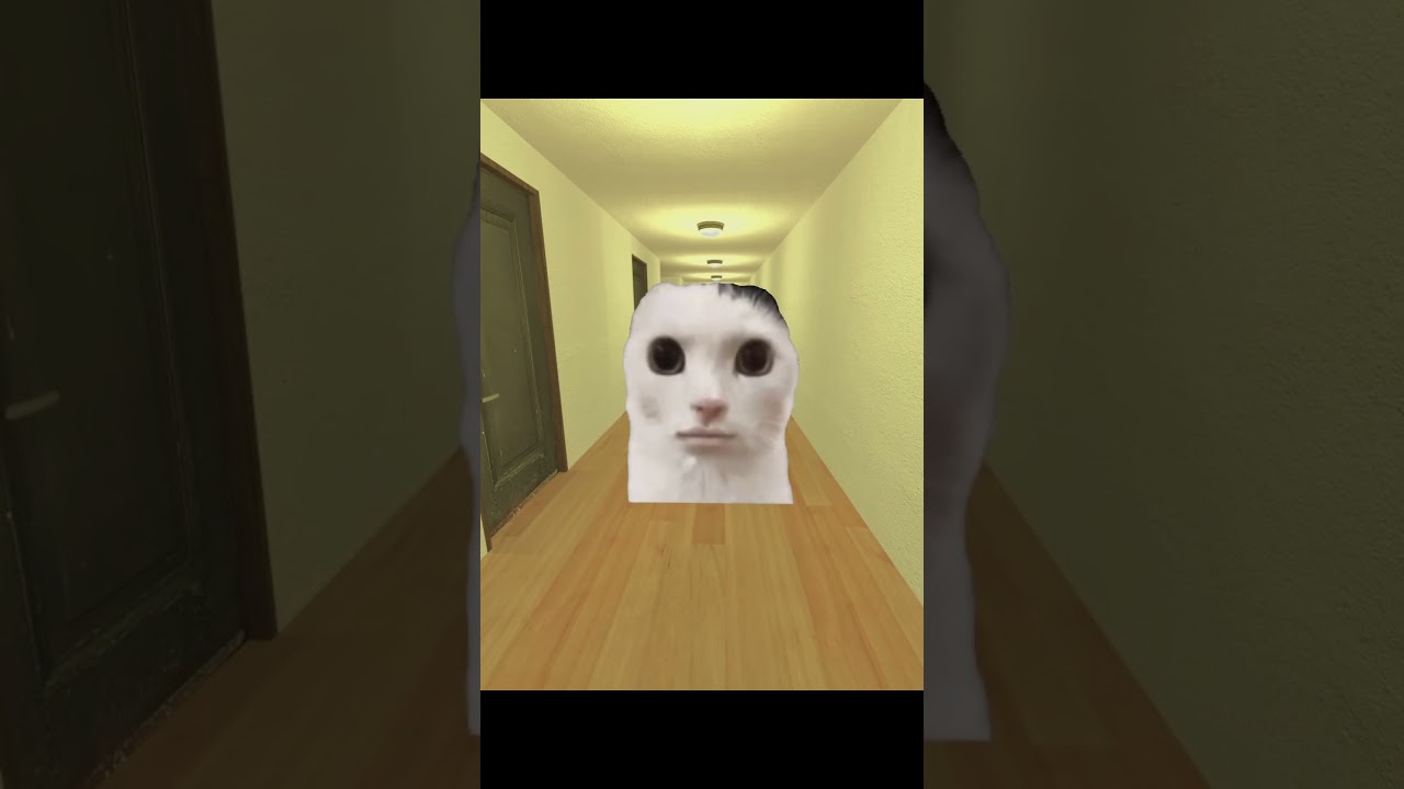 Beautiful Cat 😻 #gmod #shorts