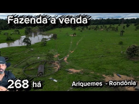 Fazenda a venda de 268 há em Ariquemes - Rondônia, Farm for sale in Brasil.