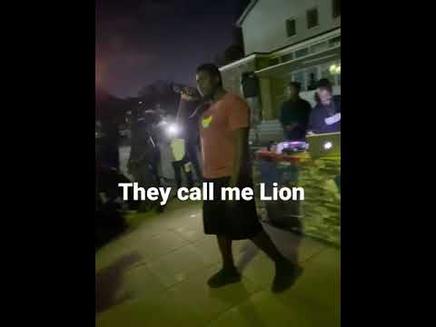 Raymo Lion performance