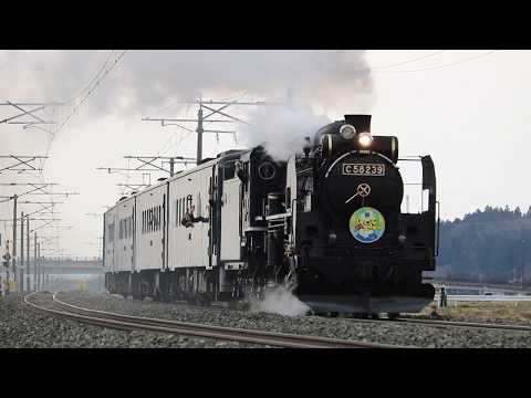 東北本線 C58形+キハ141系 9531レ「SL銀河いわて幸せ大作戦」 陸中折居～水沢 2019年4月7日