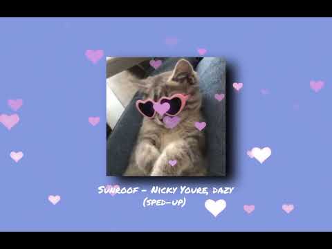 Sunroof - Nicky Youre, dazy (sped-up)