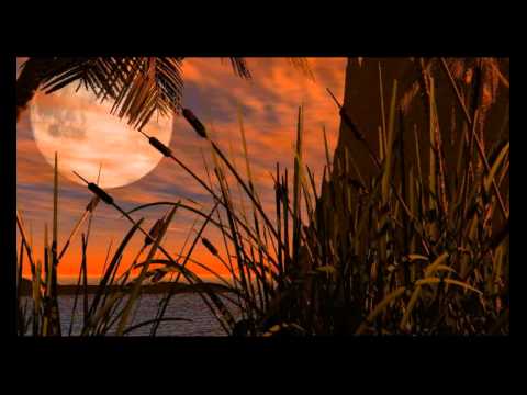 Slow Hot Wind video