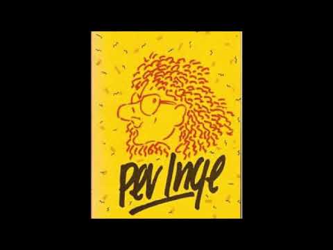 Per Inge Torkelsen og Steinar Lyse - Kom hjem Bertine