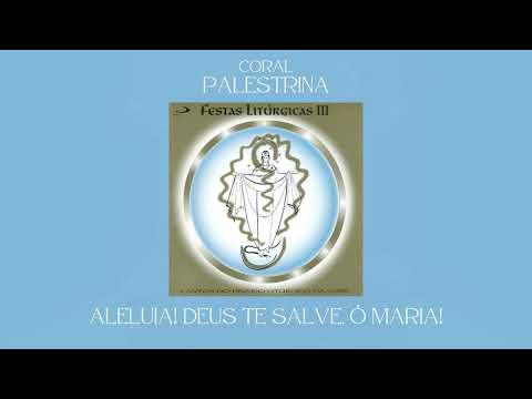 Aleluia, Deus Te Salve - Católica