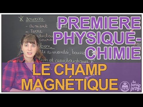 The magnetic field - Physics-Chemistry 1ère S - Les Bons Profs