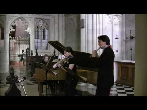 Martinu Sonata for Flute, Violin & Piano - Finale