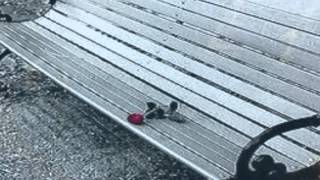 David Peaston - God Bless the Child