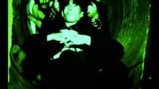 VOX DEI   LIBROS SAPIENSALES