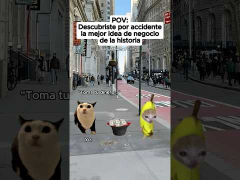 CAT MEME FUNNY 😹 Descubriste por accidente la mejor idea de negocio de la historia #cat #relatable