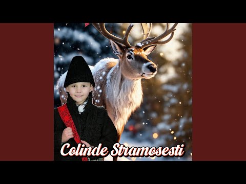 De Craciun la voi in casa