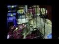 Kittens Want Out Of Their Cage