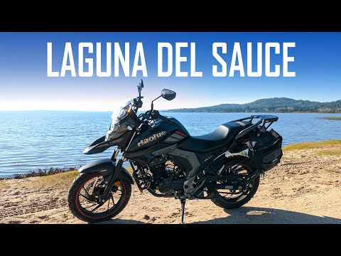 Laguna del Sauce / Maldonado / Uruguay