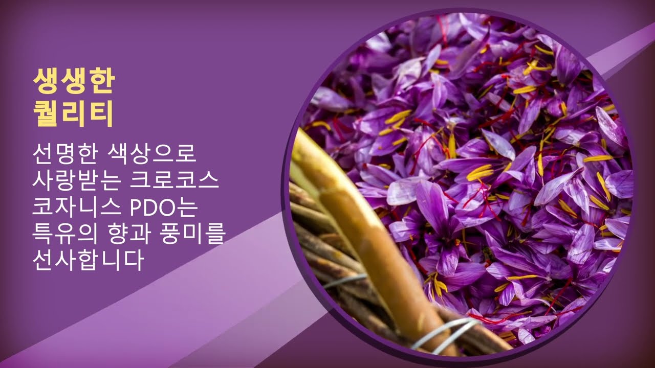 크로코스 코자니스 (KOREAN)