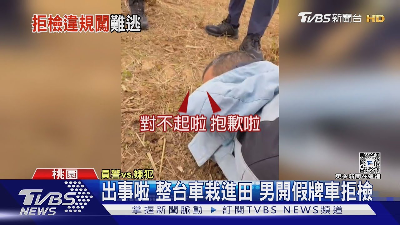 出事啦 整台車栽進田 男開假牌車拒檢
