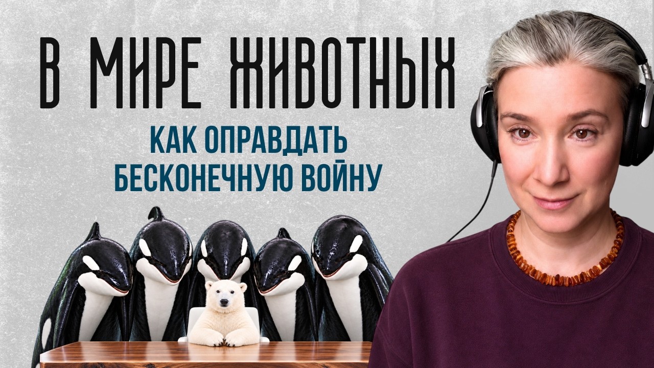 В мире животных: как оправдать бесконечную войну
