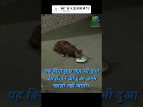 Thumbnail for a recent video by Umeed Foundation