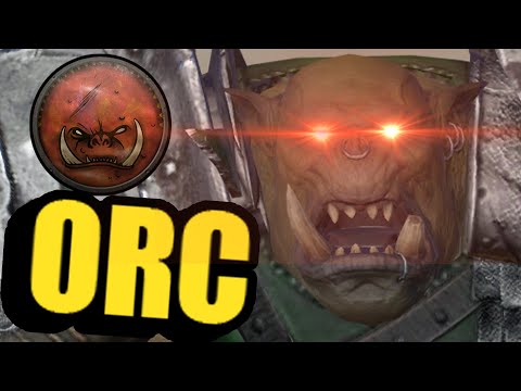 The Most Dangerous Orc in Total war Warhammer